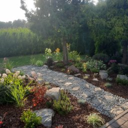 Tulipanowe Love spółka z ograniczoną odpowiedzialnością - Aranżacja ogrodu z kamienną ścieżką, ozdobnymi kamieniami, korą, różnorodnymi roślinami kwitnącymi i iglakami w tle, oświetlona popołudniowym słońcem.