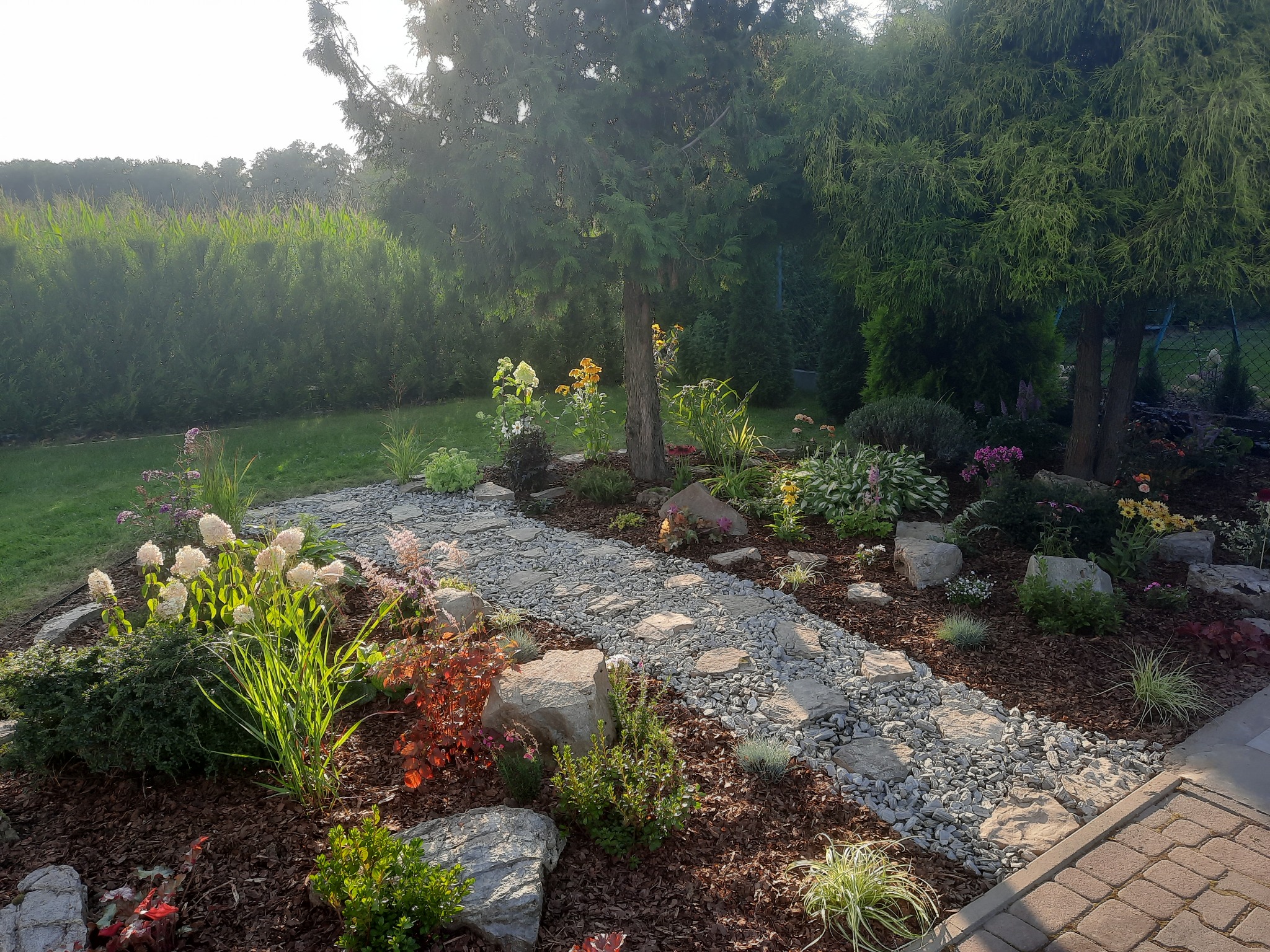 Aranżacja ogrodu z kamienną ścieżką, ozdobnymi kamieniami, korą, różnorodnymi roślinami kwitnącymi i iglakami w tle, oświetlona popołudniowym słońcem.