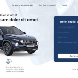Web-Harmony Jarosław Blaut - Projekt strony internetowej Landing-Page dla Hyundai Stawowy
