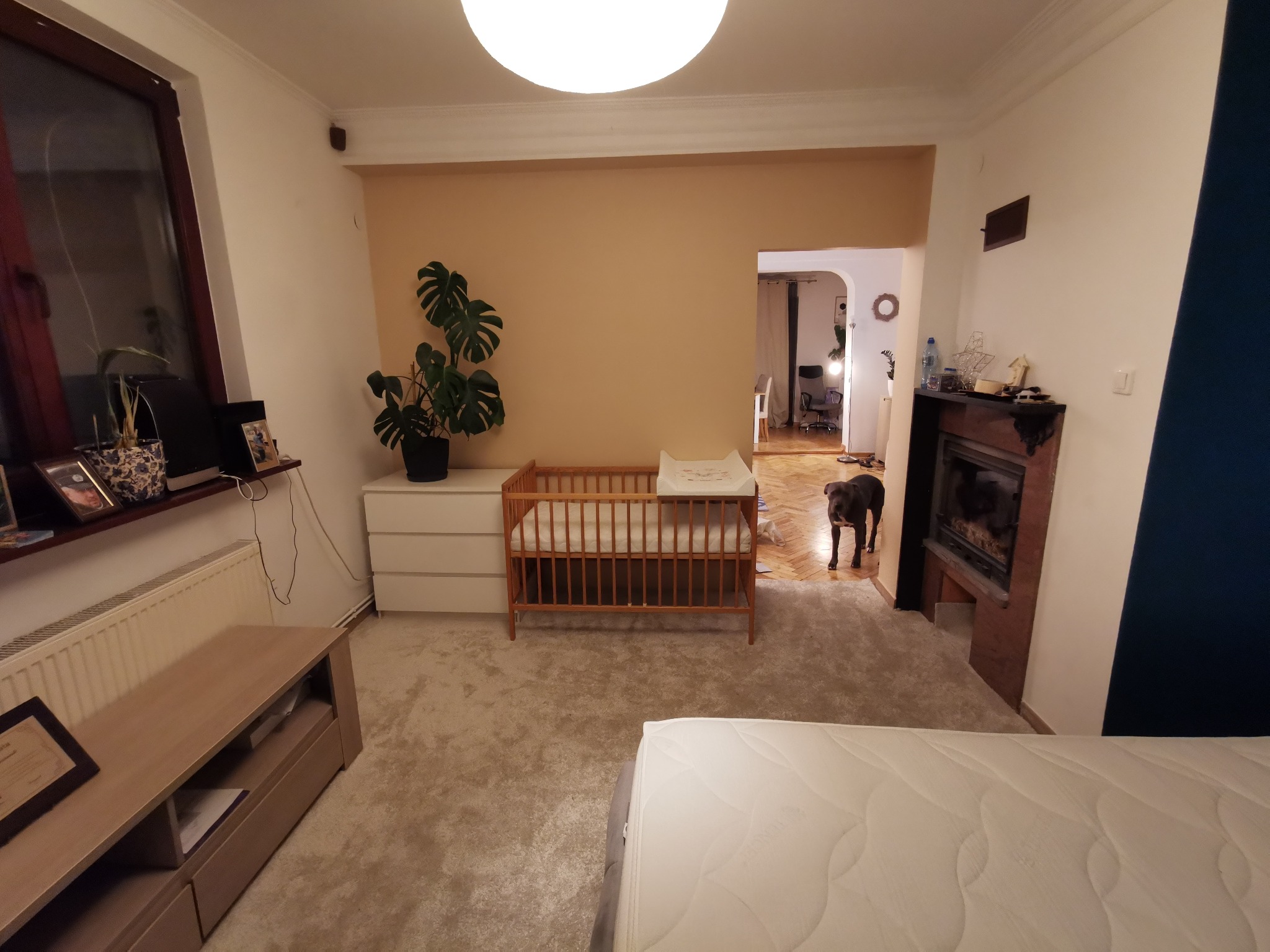 Jasne wnętrze pokoju z beżowym dywanem, drewnianym łóżeczkiem dziecięcym obok białej komody, rośliną w doniczce, kominkiem i psem rasy pitbull w przejściu do innego pokoju