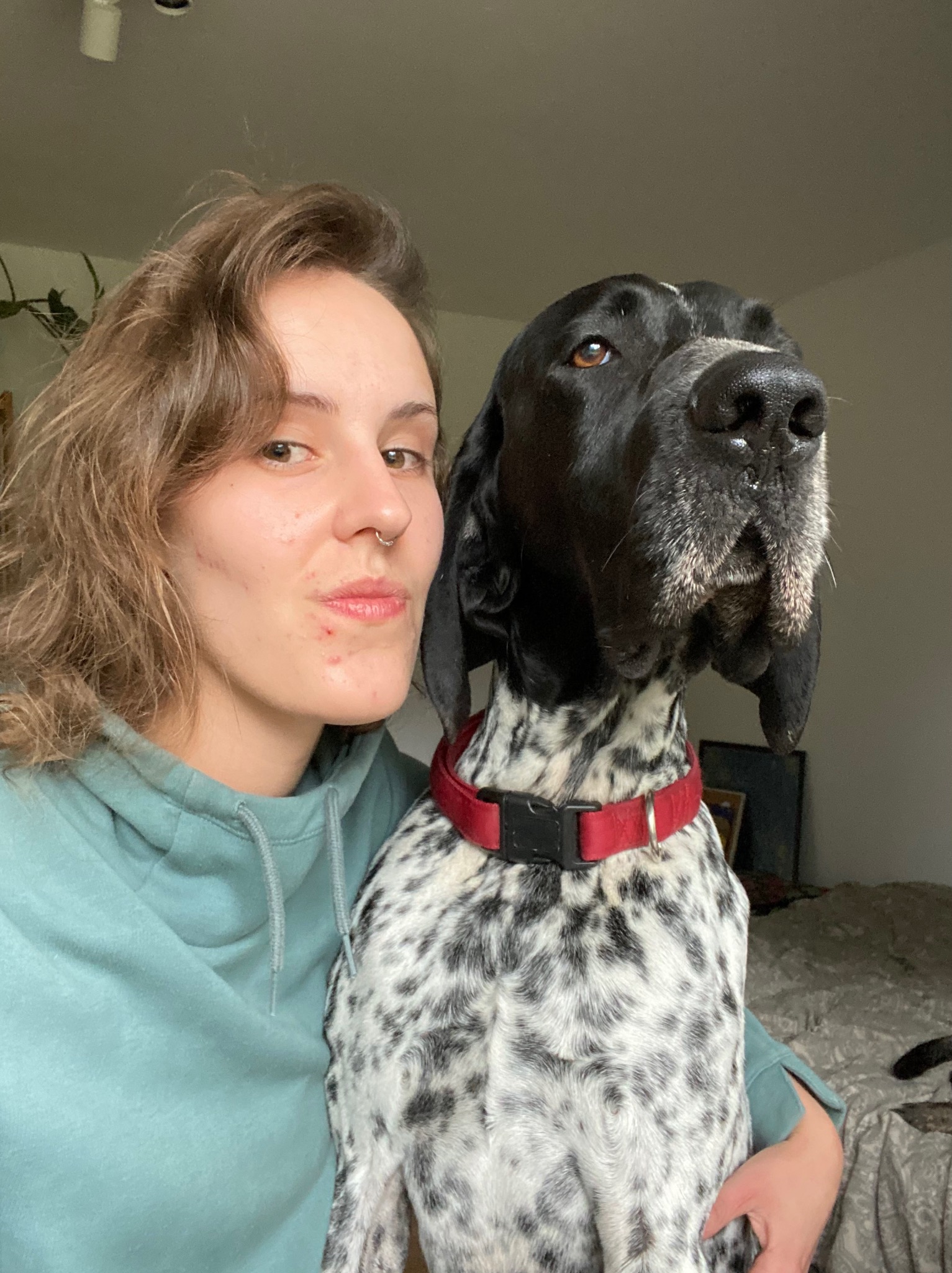 Portret kobiety z psem rasy pointer niemiecki krótkowłosy w czerwonej obroży, selfie w mieszkaniu.