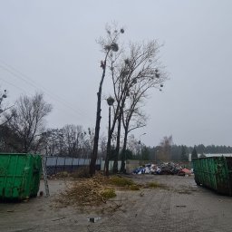 Konserwacja Zieleni Bartłomiej Zieliński - Wycinanie Drzew Otwock