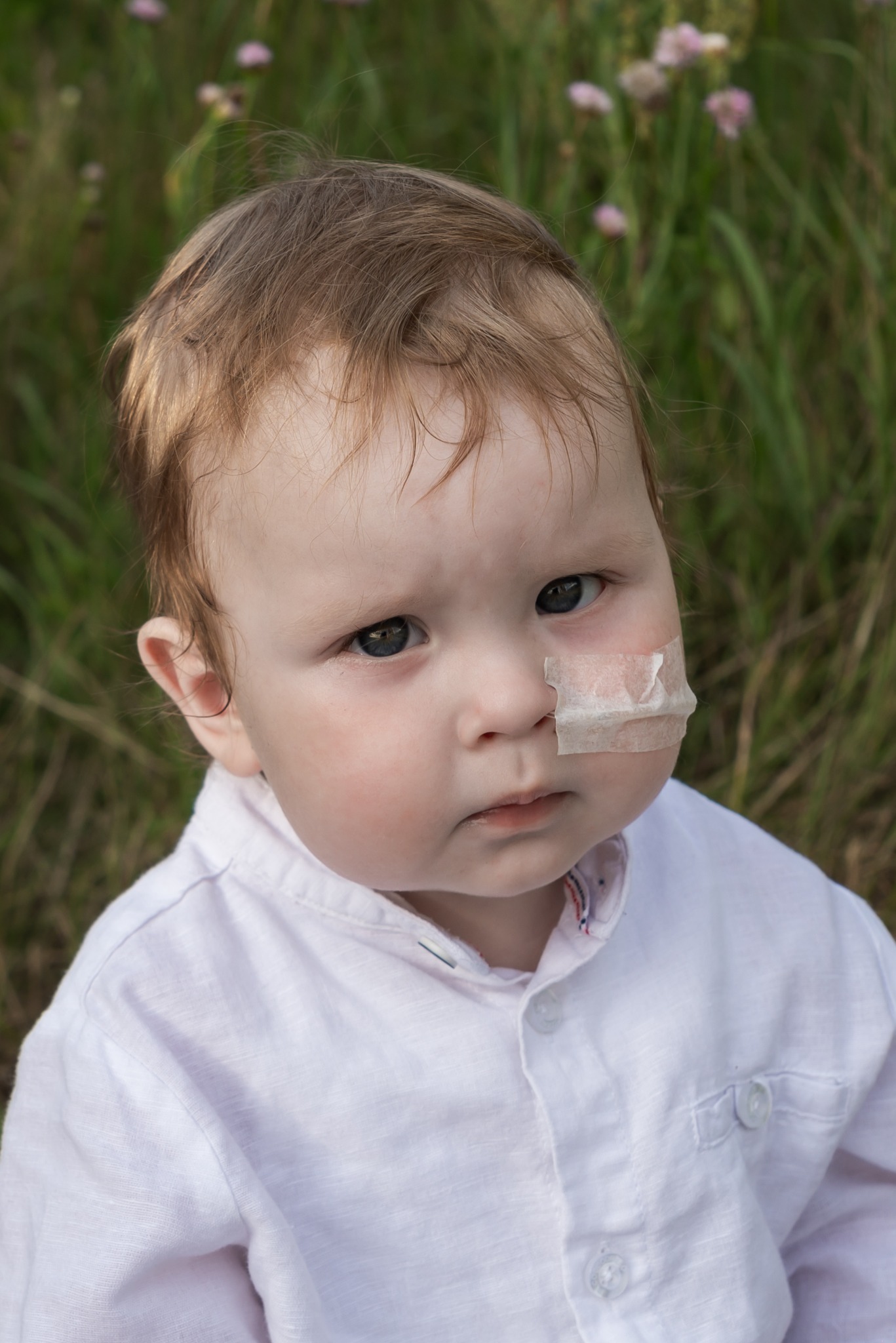 Portret małego chłopca z plastrem na policzku, ubrany w białą koszulę, na tle zielonej trawy i różowych kwiatów.