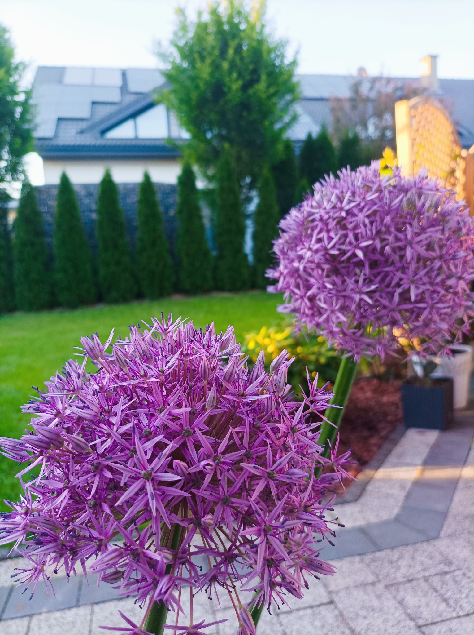 Projektowanie i zakładanie ogrodów. Kompleksowe pielęgnacja.