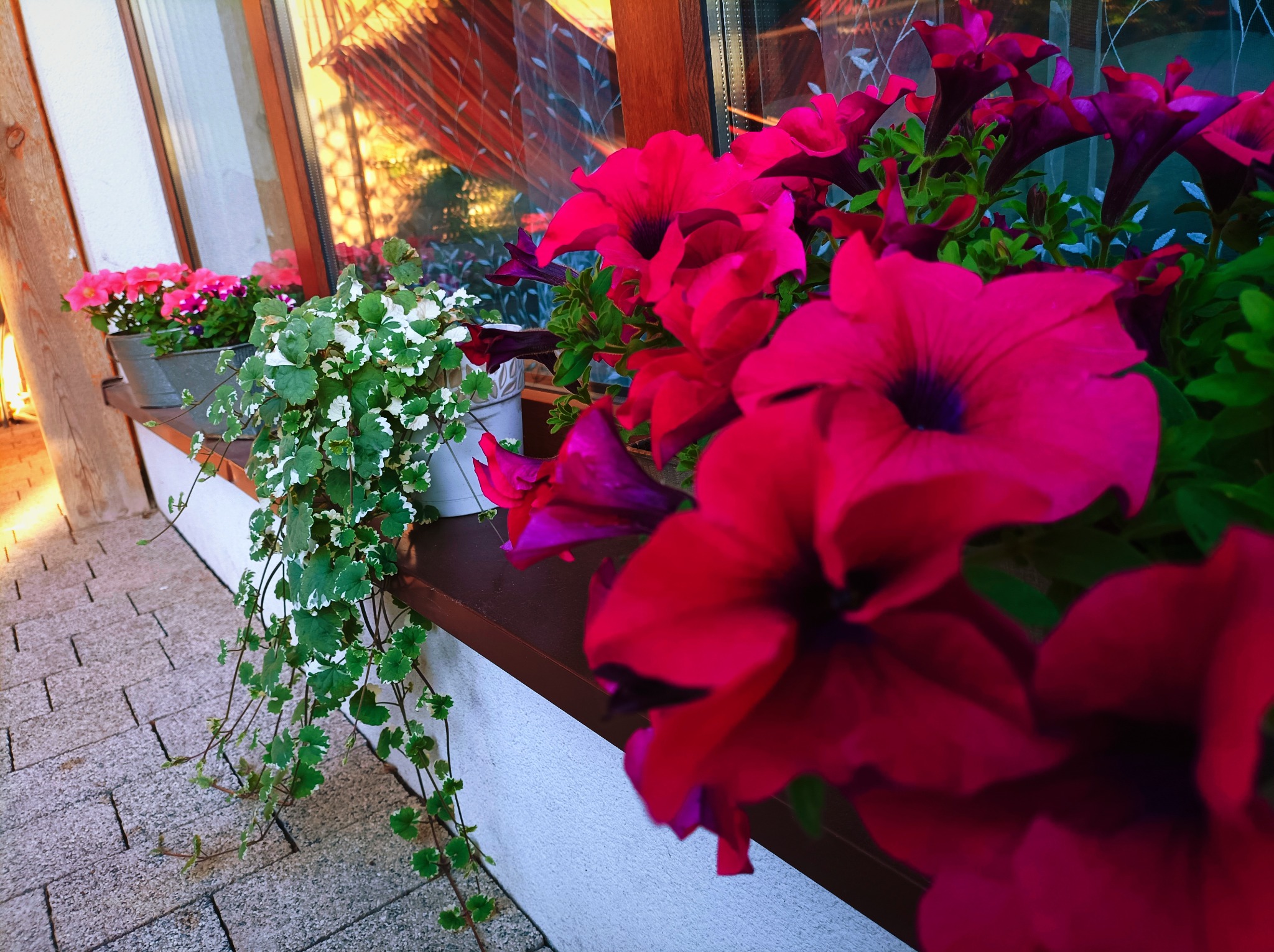 Kompleksowa pielęgnacja ogrodów