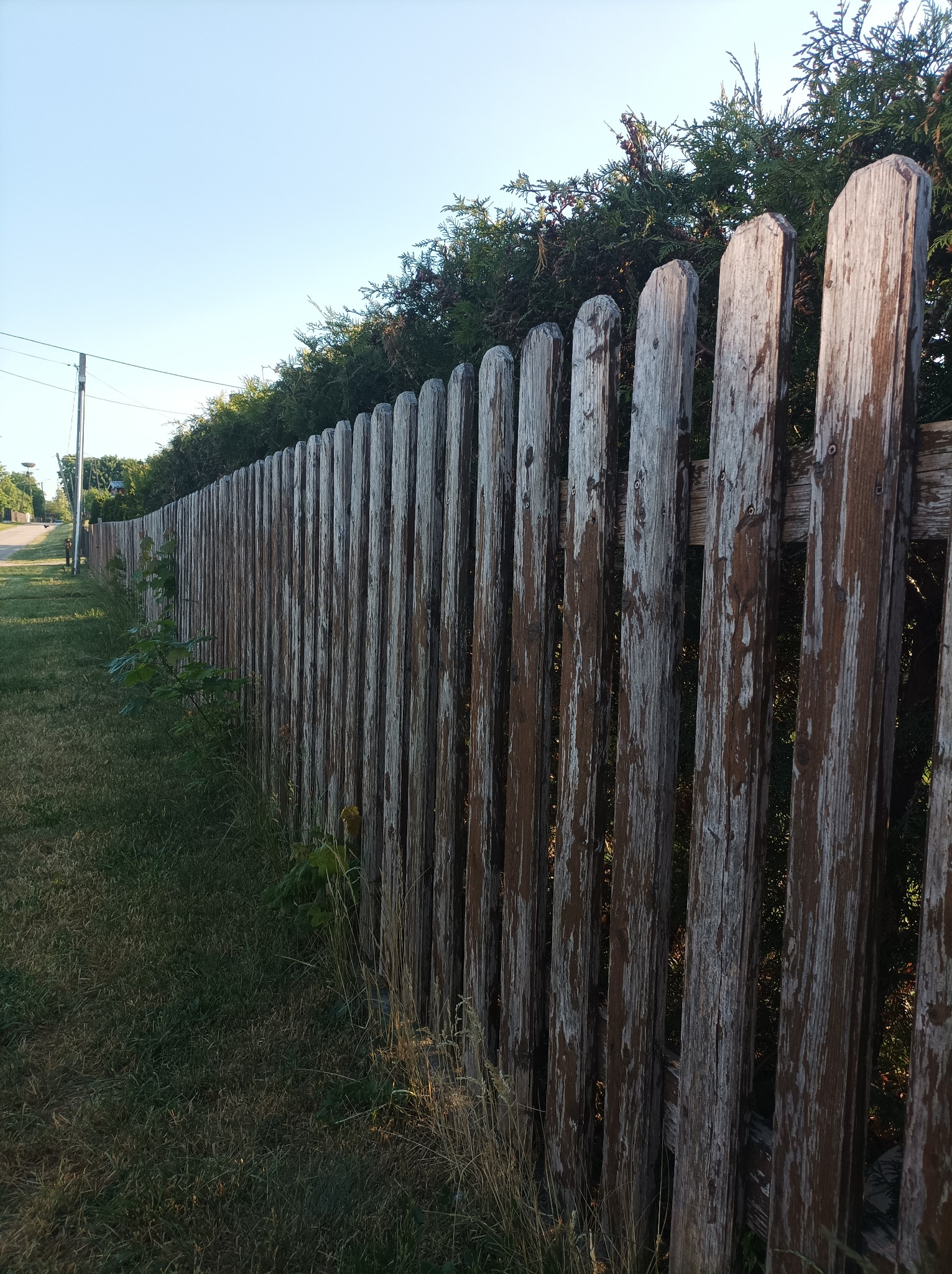 Renowacja infrastruktury ogrodowej PRZED