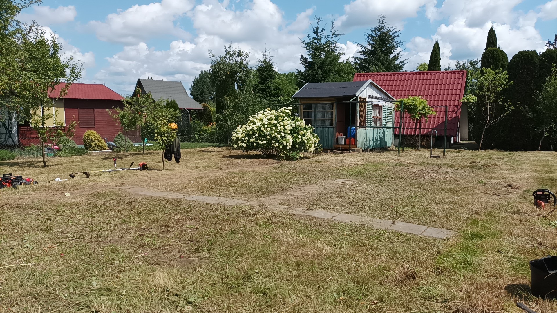 Sprzątanie działki PO