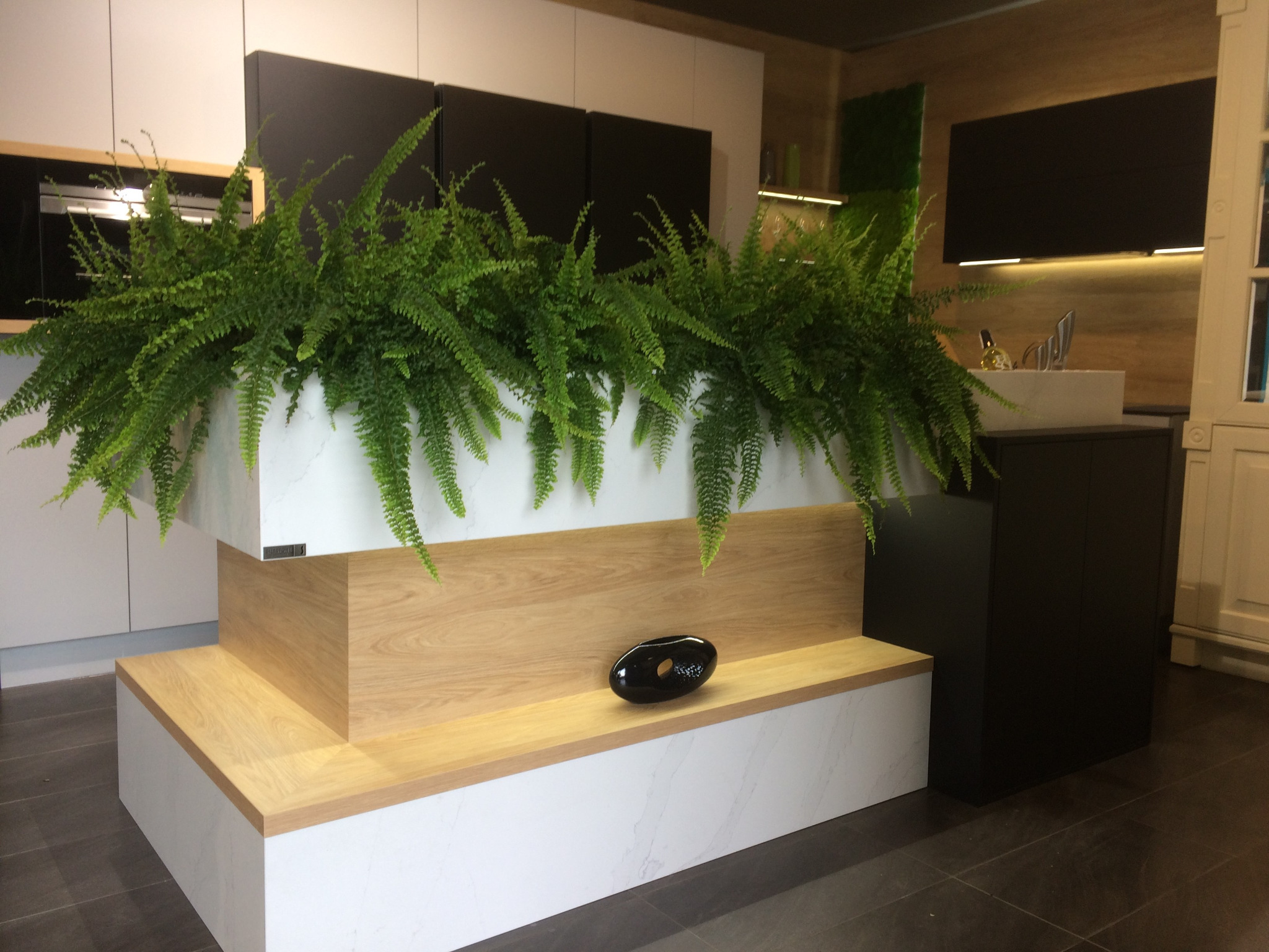 Blat kuchenny z konglomeratu w formie podwyższonej donicy z paprotkami, ustawiony w nowoczesnej kuchni z białymi i czarnymi szafkami.