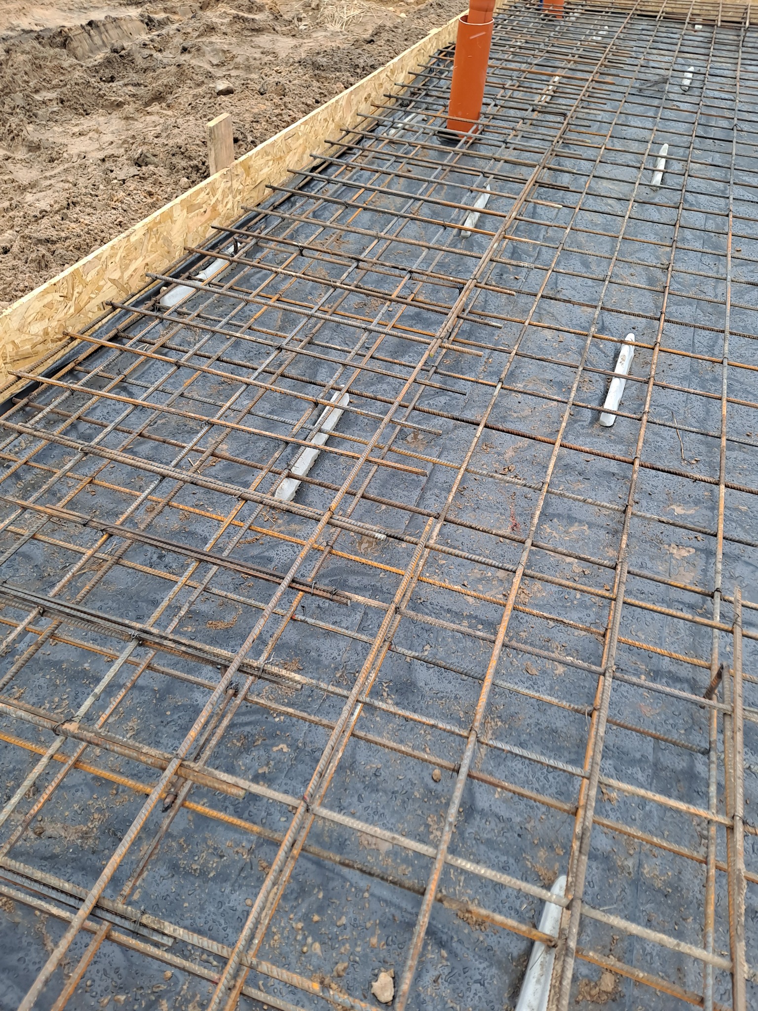 Zbrojenie z prętów stalowych ułożone na czarnej folii w drewnianym szalunku, widoczne pionowe rury kanalizacyjne i ziemia w tle.