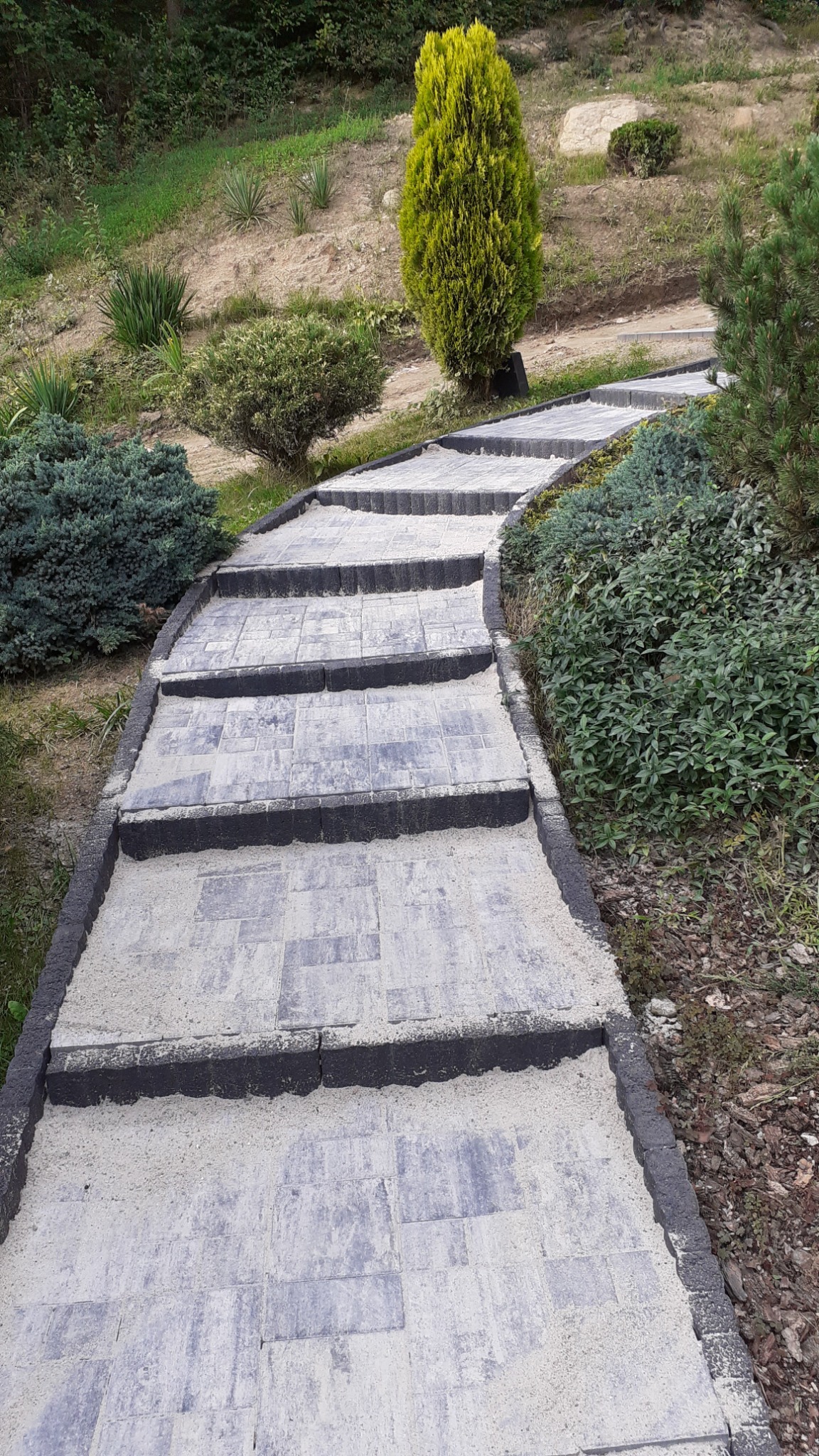 Schody z kostki brukowej prowadzące w górę zbocza, otoczone zielenią, z żółto-zielonym drzewem iglastym w tle.