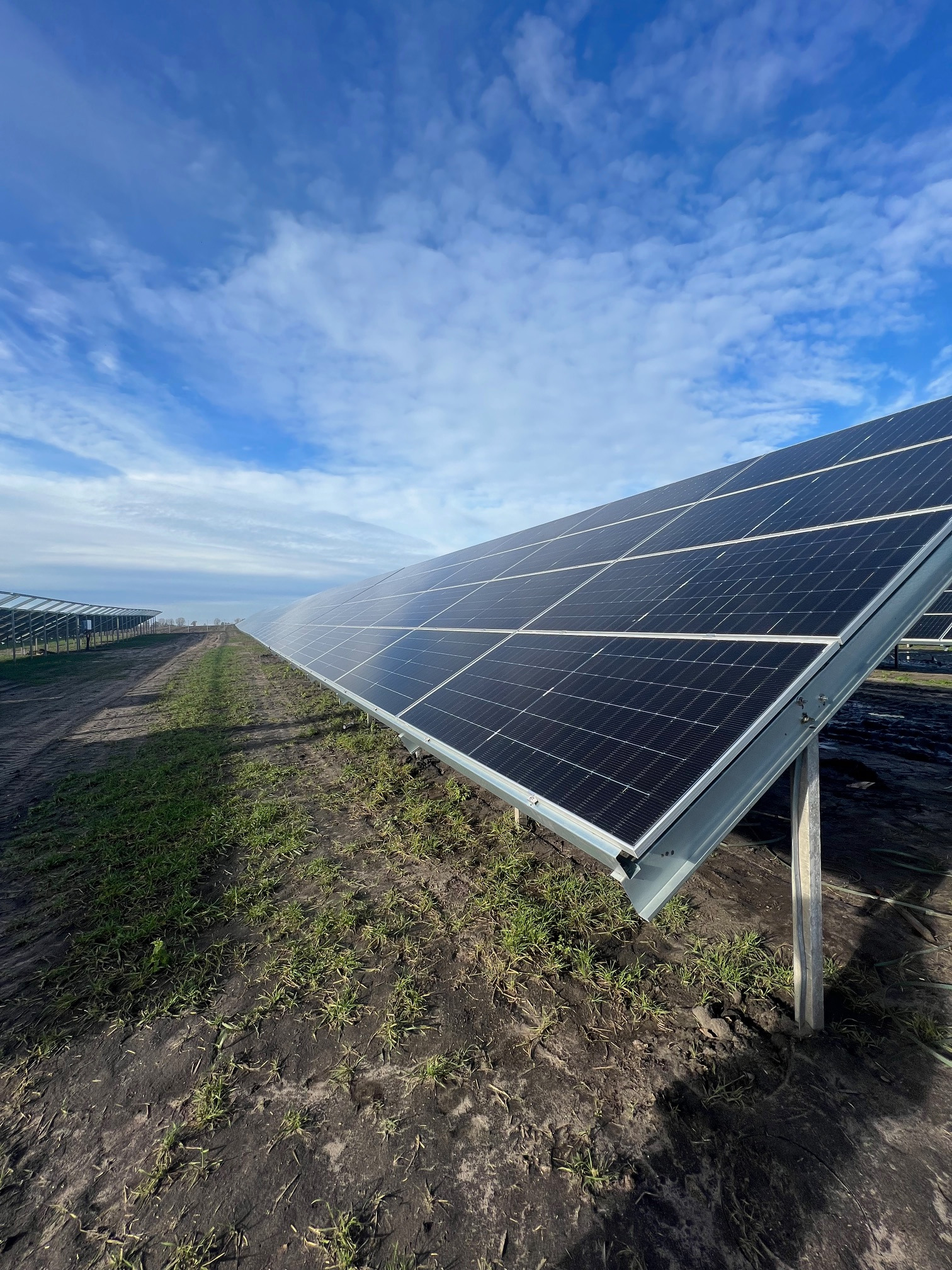 Rząd paneli słonecznych na ziemi z młodą trawą, widok z dołu na błękitne niebo z chmurami.