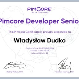 Pimcore Developer Senior