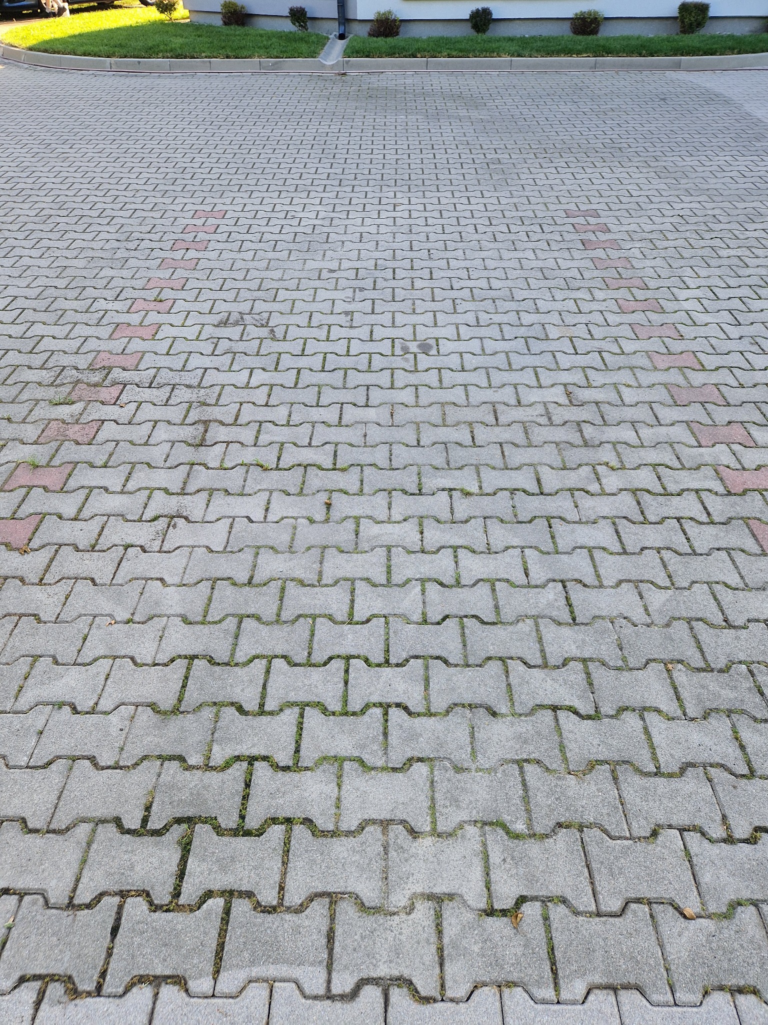 Szara kostka brukowa ułożona w jodełkę, z widocznymi fragmentami czerwonej kostki i zielenią w spoinach, na tle budynku z zielenią ozdobną.