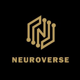 NeuroVerse Digital Agency - Business Intelligence Łódź