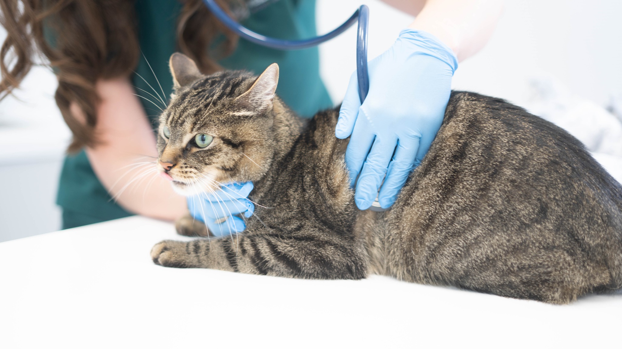 Badanie kliniczne pacjenta