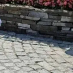 Szara kostka ułożona w łukowaty wzór, obok kamienny murek z różowymi kwiatami i ozdobnym metalowym płotkiem w tle.