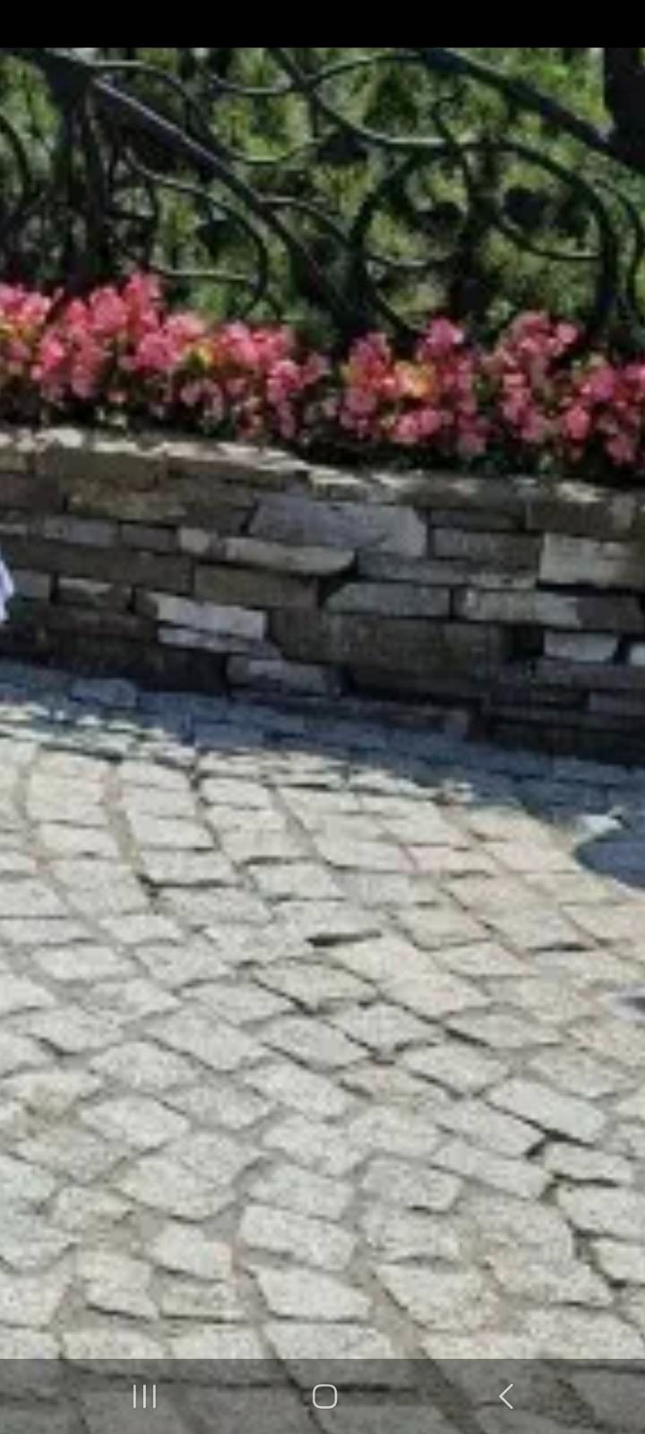 Szara kostka ułożona w łukowaty wzór, obok kamienny murek z różowymi kwiatami i ozdobnym metalowym płotkiem w tle.