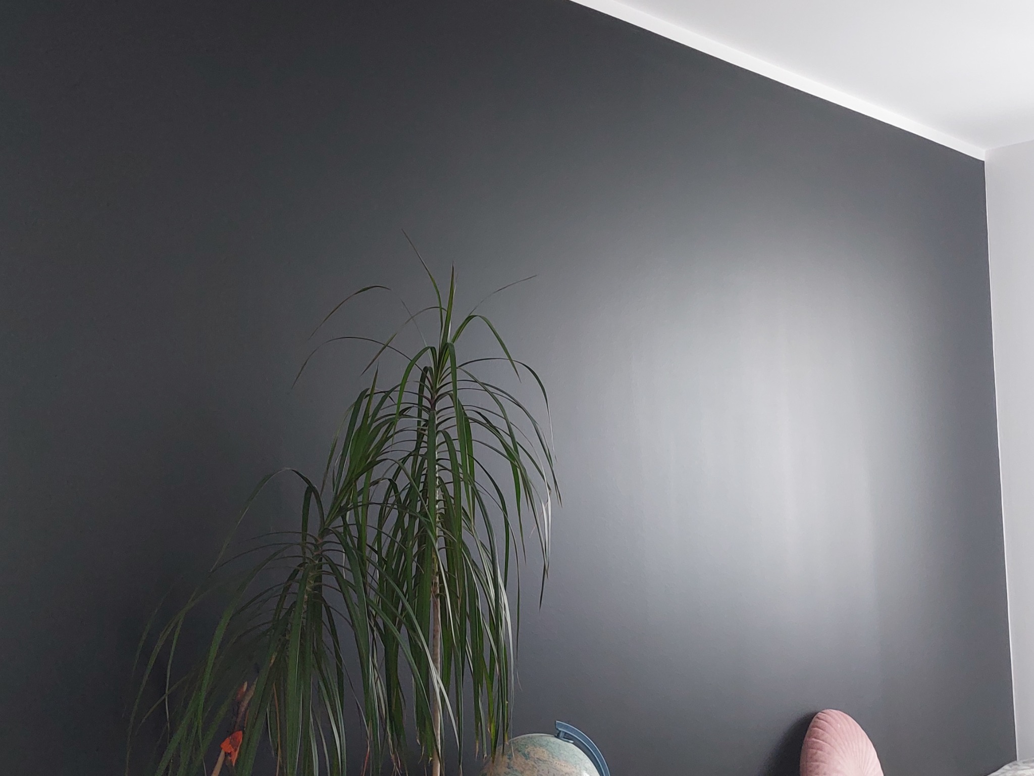 Ściana pomalowana na ciemny szary kolor z widoczną rośliną doniczkową i globusem, prezentująca gładką powierzchnię i jednolite krycie farby.