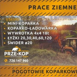 PRZE-KOP BIESZCZADY - Transport Gruzu Polańczyk