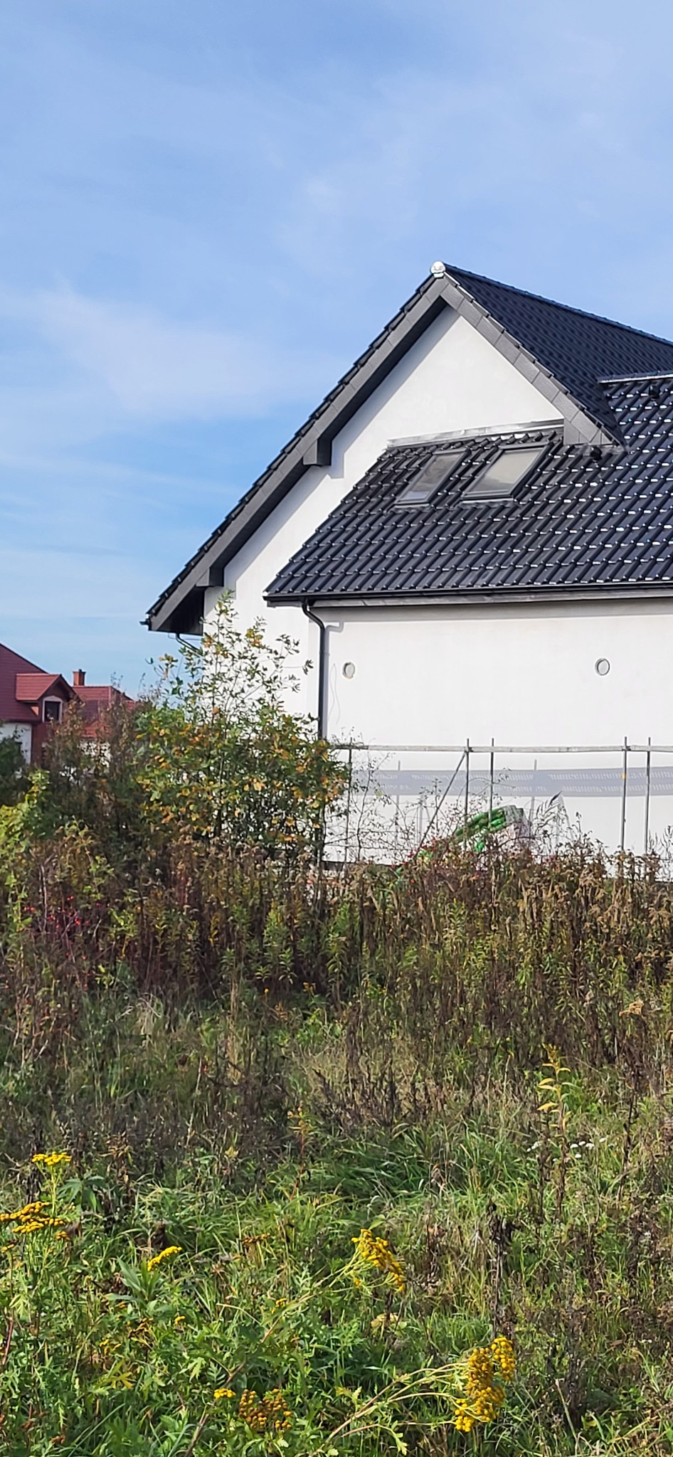 Boczny widok domu z białą elewacją, czarnym dachem z oknami dachowymi, widoczne rusztowania w tle, zarośnięte pole na pierwszym planie.