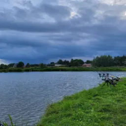 Trzy wędki karpiowe ustawione na stojaku nad brzegiem spokojnego stawu, w tle zabudowania i pochmurne niebo.