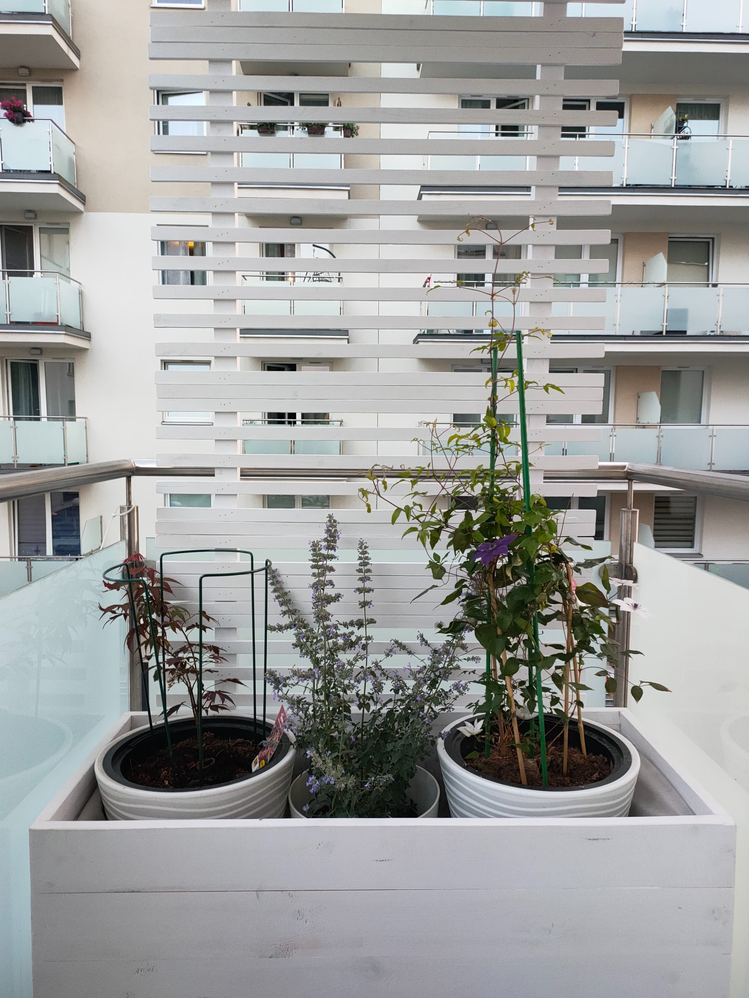 Biała skrzynia balkonowa z trzema doniczkami roślin ozdobnych na tle budynku wielorodzinnego z balkonami i drewnianą ażurową ścianką.