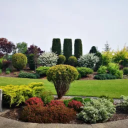 Starannie zaprojektowany ogród z równo przystrzyżonym trawnikiem, ozdobnymi krzewami i drzewami iglastymi o różnych kształtach i kolorach, oświetlony niską lampą ogrodową.