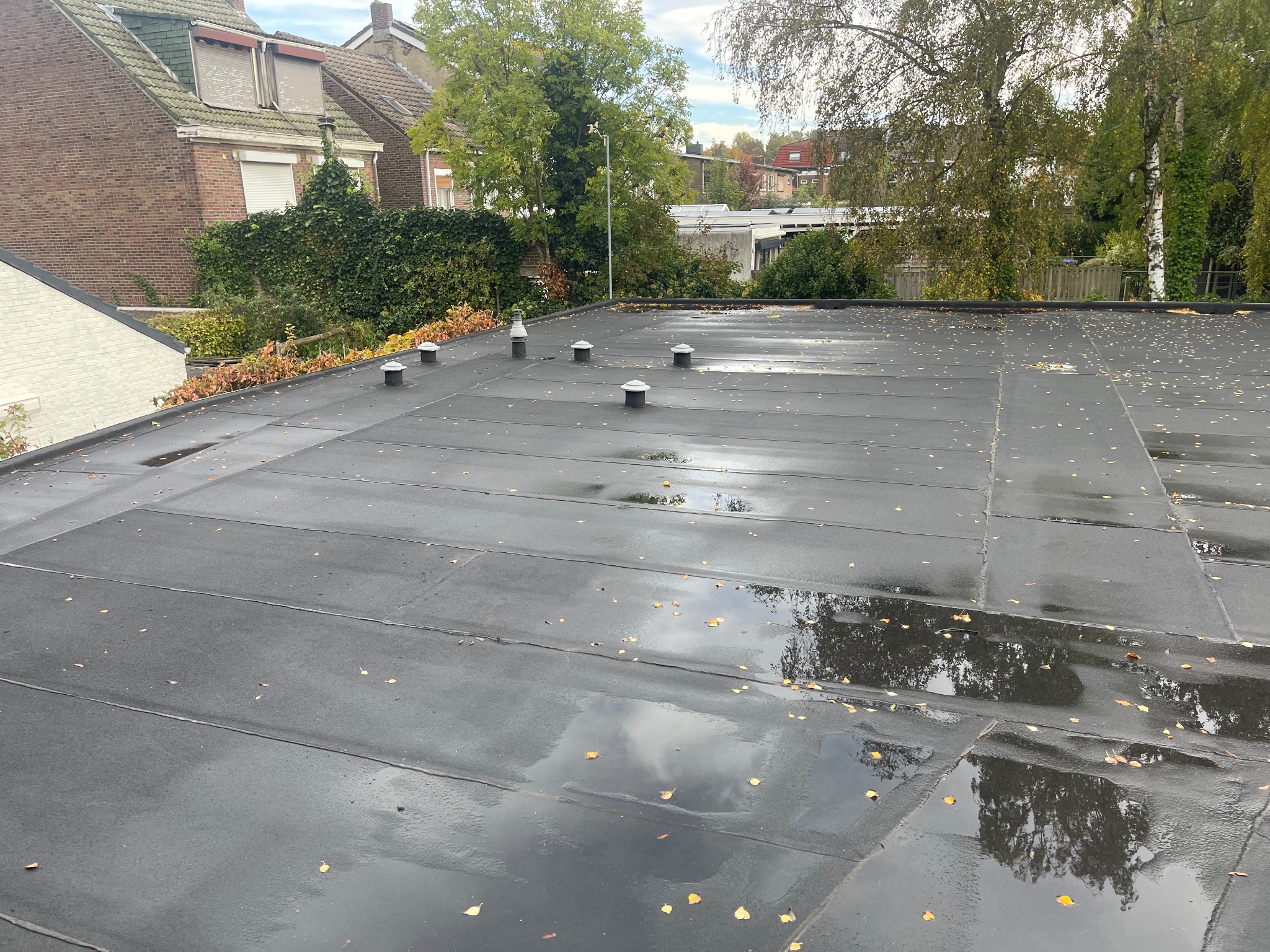 Płaski dach pokryty czarną membraną bitumiczną, z widocznymi kominkami wentylacyjnymi i kałużami po deszczu, na dachu leżą opadłe liście, w tle budynki mieszkalne i drzewa.