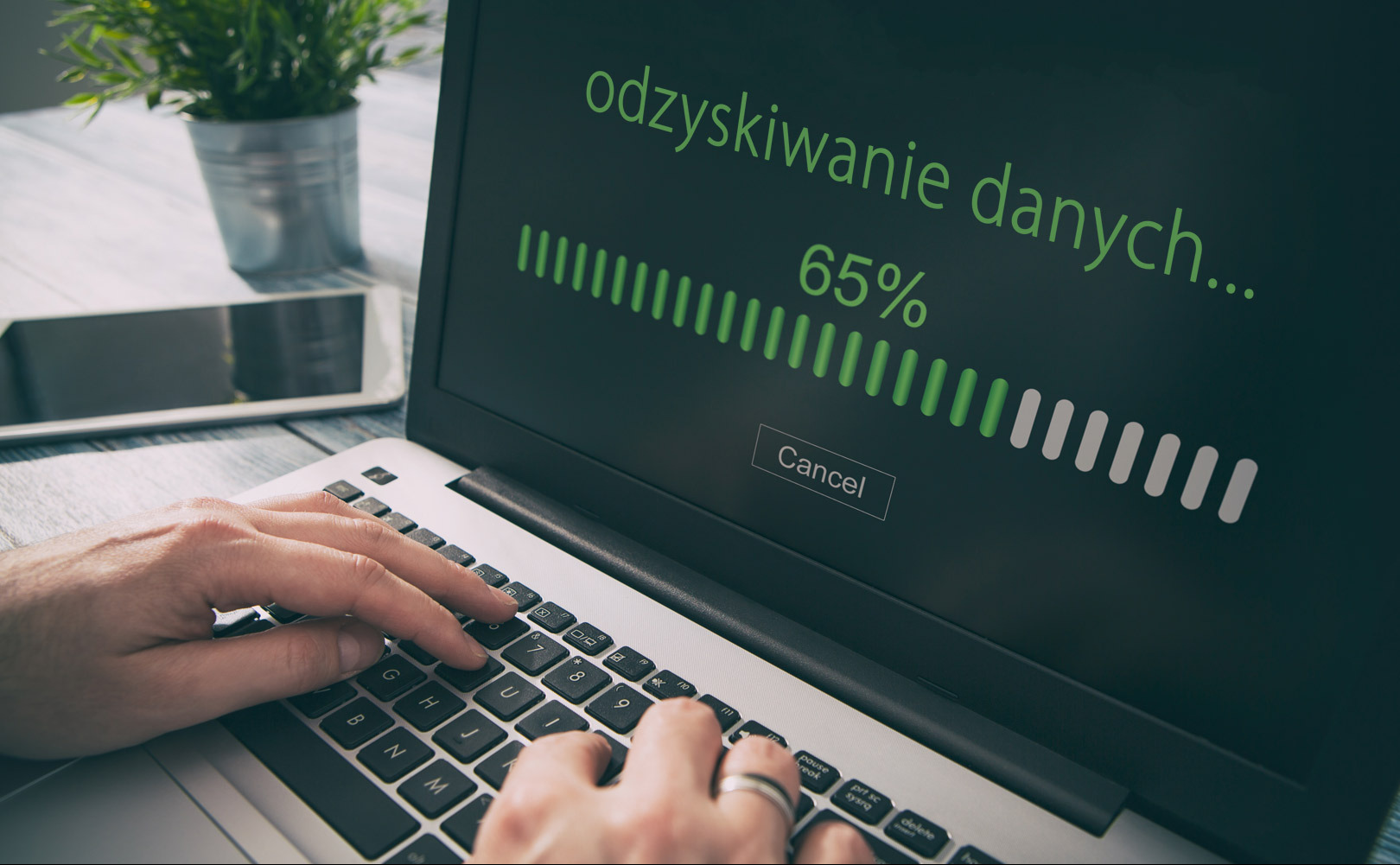 Laptop z ekranem pokazującym postęp procesu odzyskiwania danych (65%), dłonie użytkownika na klawiaturze, obok tablet i roślina w metalowej doniczce na drewnianym biurku.