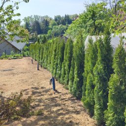 Pielęgnacja ogrodów Skała 4