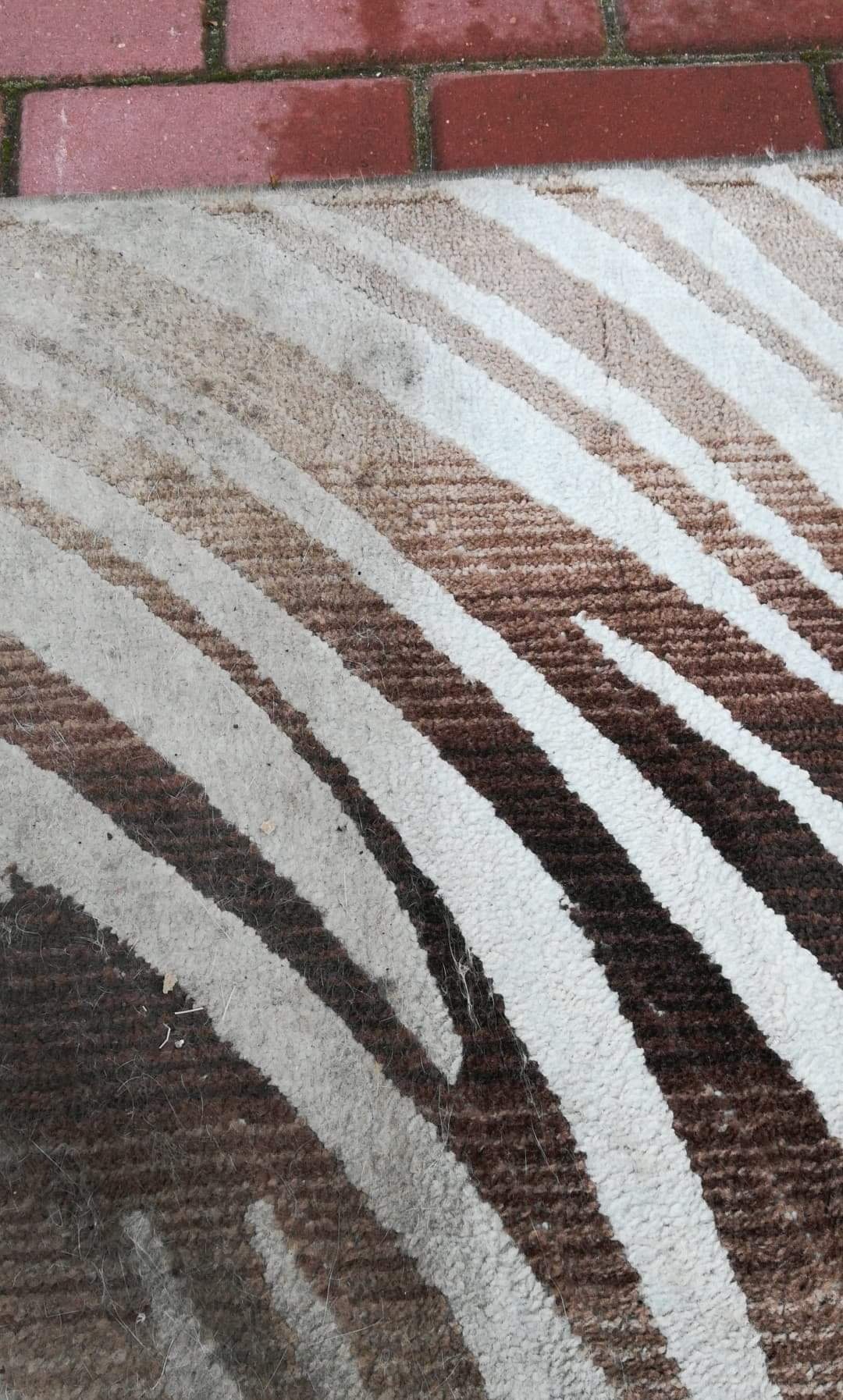 Ekstrakcyjne czyszczenie dywanów.