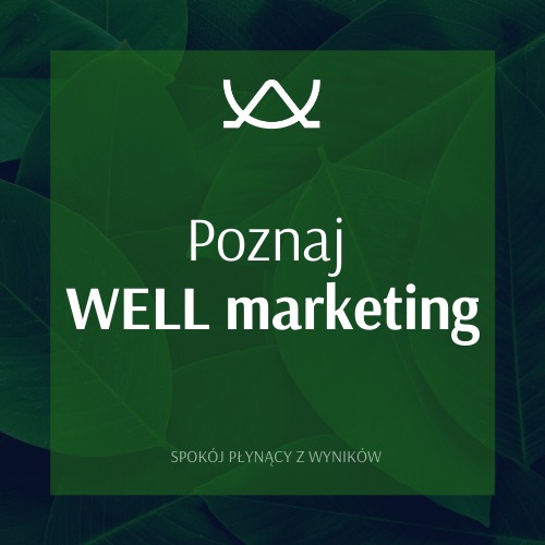Grafika z napisem 'Poznaj WELL marketing' na tle zielonych liści, z minimalistycznym logo u góry i hasłem 'Spokój płynący z wyników' na dole.