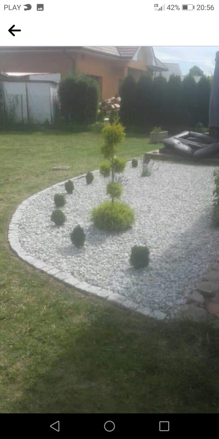 Ogród z białym żwirem, obrzeżem z kostki i formowanymi krzewami na trawniku przed domem.