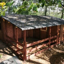 Niedokończona konstrukcja z drewnianych paneli OSB i czarnego dachu, otoczona drzewami i liśćmi, z widocznym drewnianym ogrodzeniem z przodu.