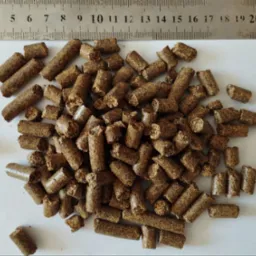 Brązowe granulki śruty rzepakowej o nieregularnych kształtach, ułożone na białym tle z linijką w tle, ukazującą ich rozmiar.