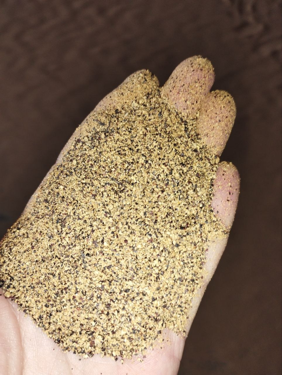 Śruta Rzepakowa od 34-37 % Białko(Protein), Big-Bag lub luz, min 22 t.