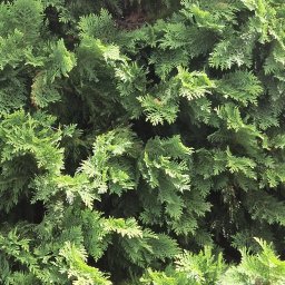 janos szdo - Dekarz Warszawa