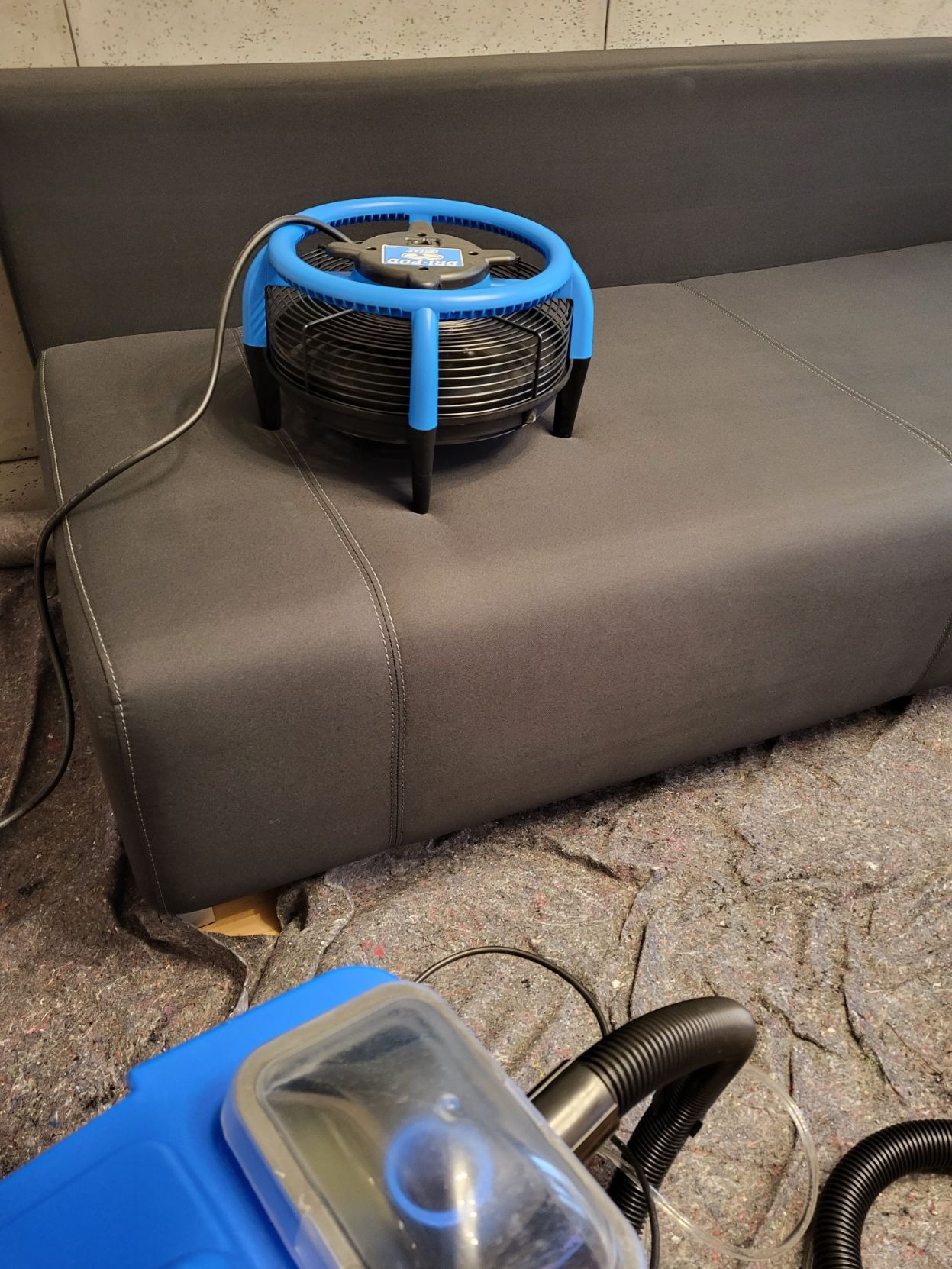 Szara kanapa z widocznym niebieskim wentylatorem osuszającym i fragmentem odkurzacza piorącego na podłodze zabezpieczonej szarą włókniną.