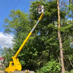 Pracownik na podnośniku koszowym przycina gałęzie drzewa w pobliżu linii energetycznych, widoczny żółty samochód z podnośnikiem i fragment powalonych gałęzi.