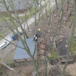 Usuwanie suchych oraz nadłamanych gałęzi w parku linowym