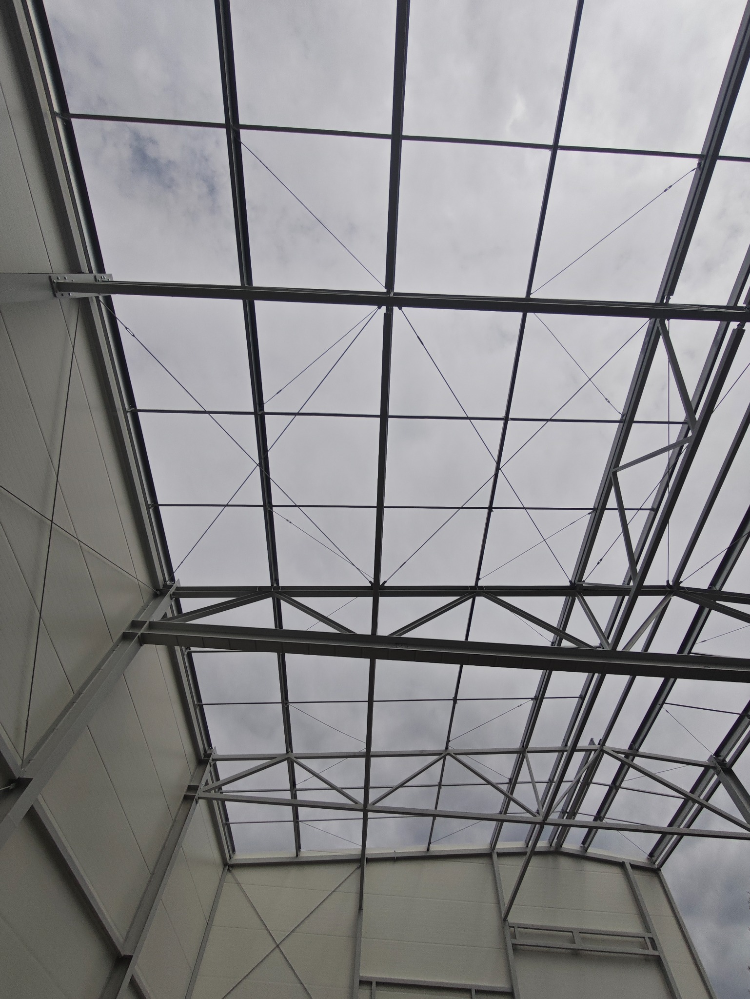 Wnętrze hali w trakcie budowy. Widok na stalową konstrukcję dachu i obudowę ścian z paneli. Pochmurne niebo widoczne przez szkielet dachu.