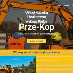 Tworzenie stron internetowych Bielsko-Biała 1