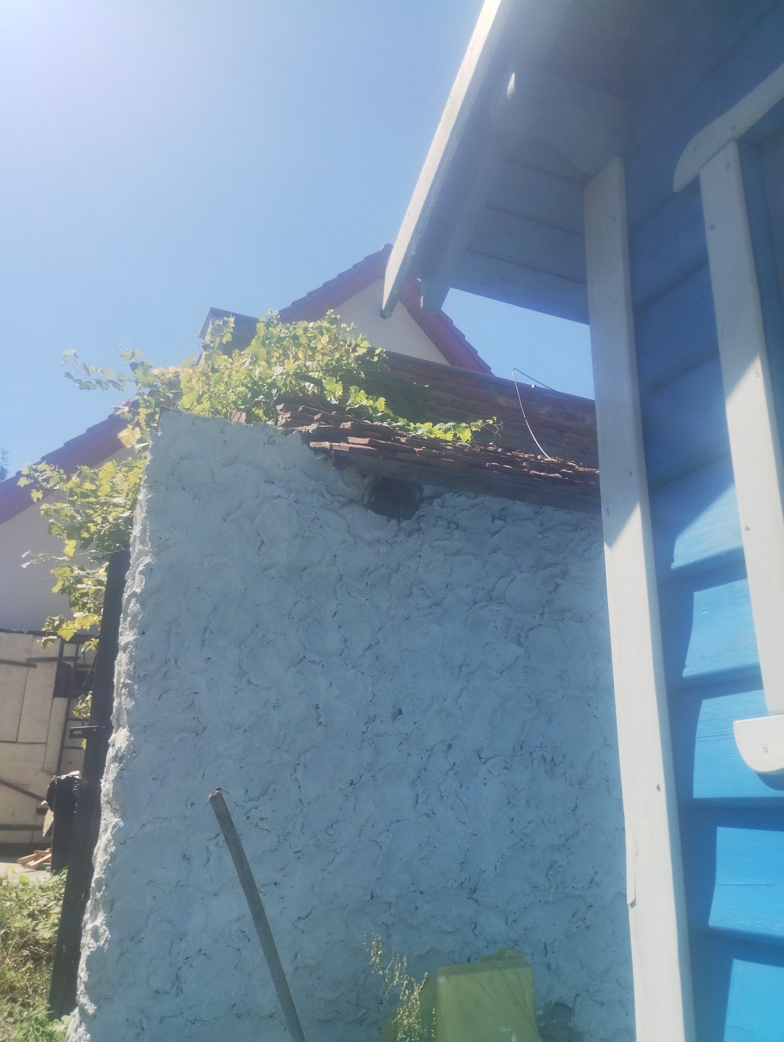 Fragment ściany budynku z szorstką, jasną elewacją, częściowo porośniętą pnączami, z widocznym fragmentem dachu z czerwonej dachówki i elementami niebieskiej konstrukcji, prawdopodobnie altany...