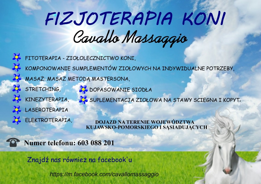 Grafika reklamowa usług fizjoterapii koni, w tym masażu, ziołolecznictwa, laseroterapii i elektrostymulacji, z informacją o dojeździe na terenie województwa kujawsko-pomorskiego i sąsiednich.