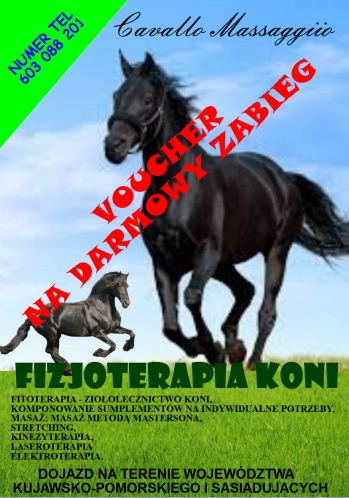 Grafika reklamowa fizjoterapii koni: czarny koń na tle nieba, napis 'Voucher na darmowy zabieg', fitoterapia, masaż, stretching, kinezyterapia, laseroterapia, elektroterapia, dojazd na terenie...