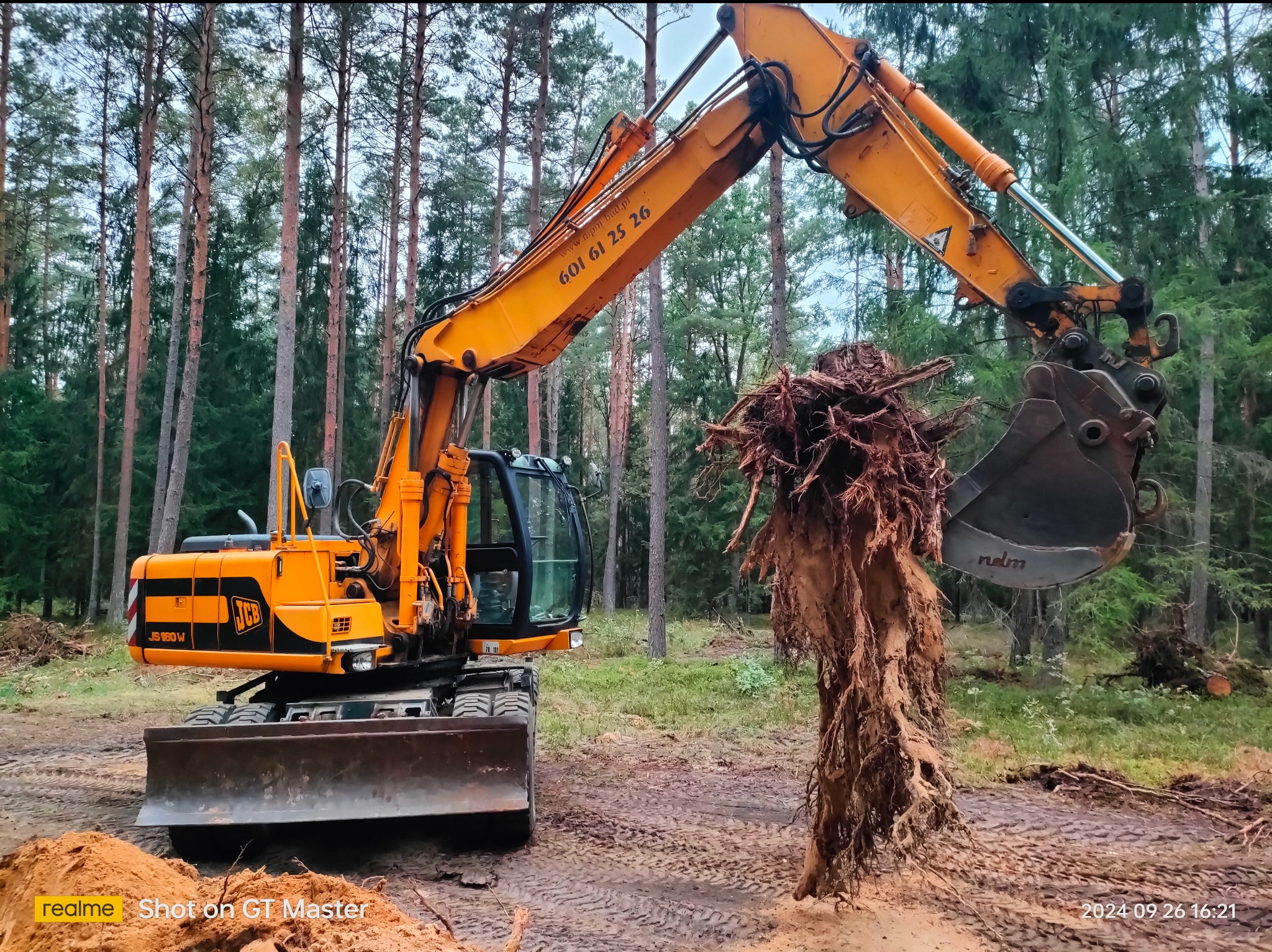 Żółta koparka JCB z numerem telefonu na ramieniu, wyrywająca korzeń drzewa na tle leśnym. Widoczne ślady opon na ziemi i ścięte pnie drzew.