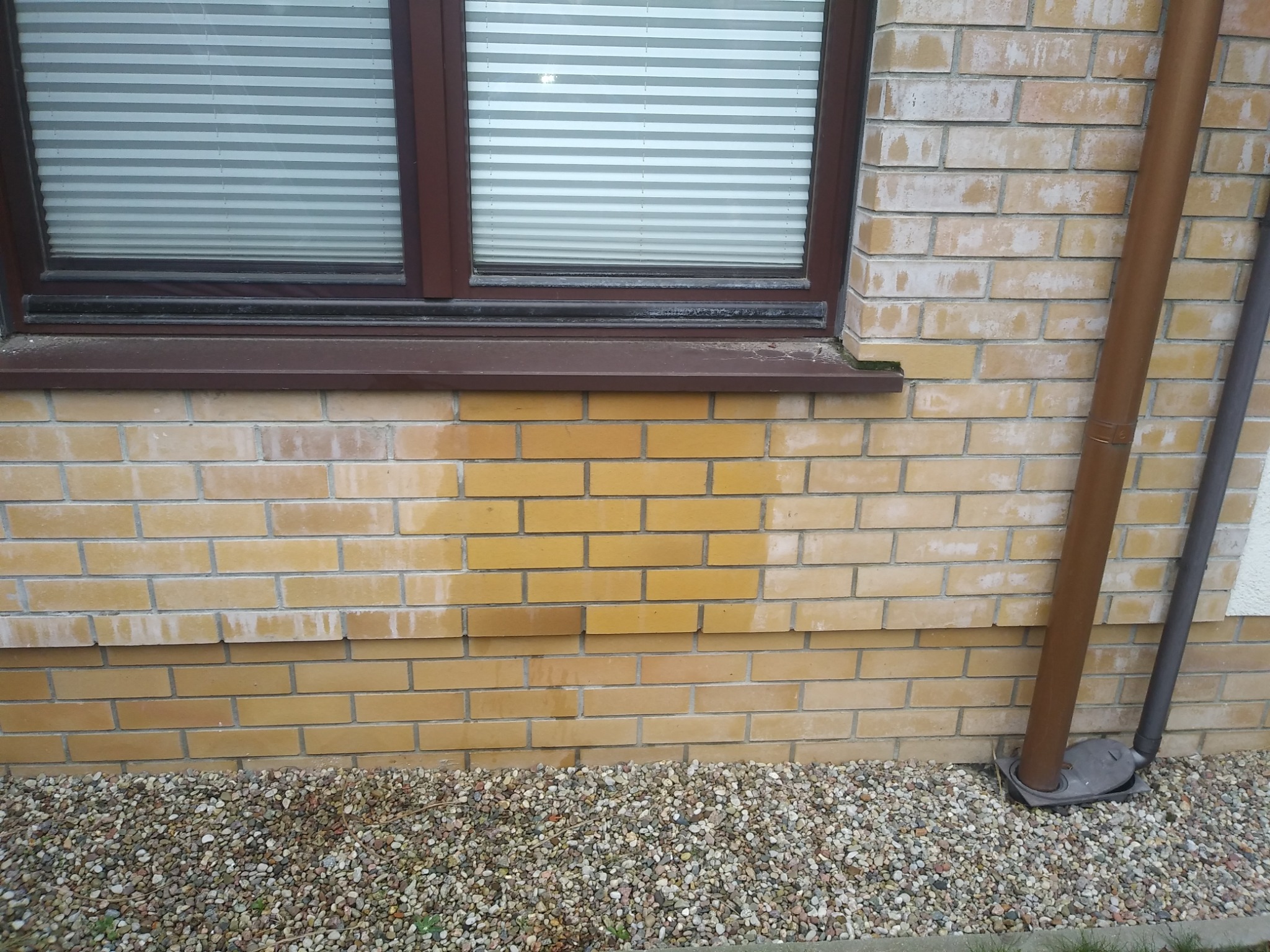 Fragment ceglanej elewacji z widocznymi zaciekami i zabrudzeniami pod oknem z brązową ramą i obok rury spustowej.