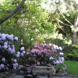 P.H.U."Ogrodnik Filip" Piotr Filipiak - Fontanny Suchy Las