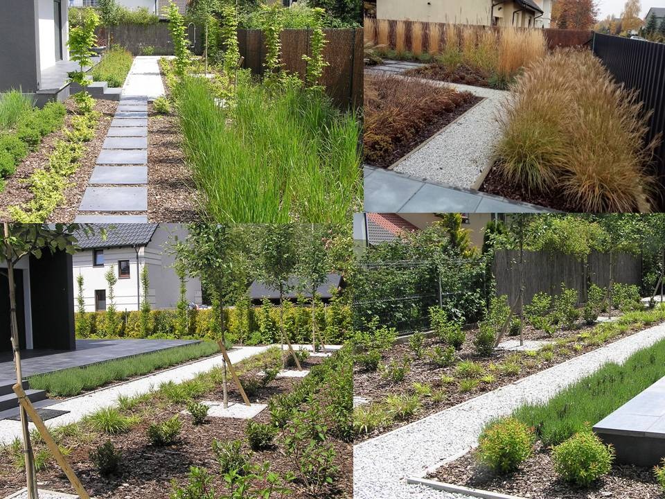 Kompozycja czterech ujęć ogrodu: ścieżka z kamiennych płyt i wysoka trawa ozdobna, żwirowa ścieżka z trawami, młode drzewa podparte palikami wzdłuż żwirowej ścieżki, widok na dom z zadbanym...