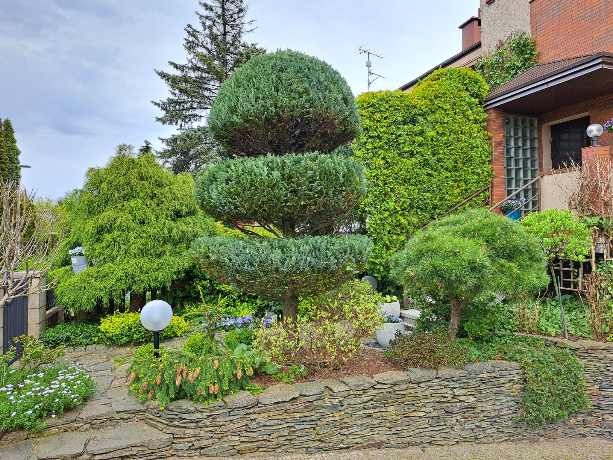 Ogród przydomowy z formowanymi drzewami i krzewami, rabaty kwiatowe na kamiennym murku, oświetlenie ogrodowe w postaci kuli, tło stanowi budynek z zielenią.
